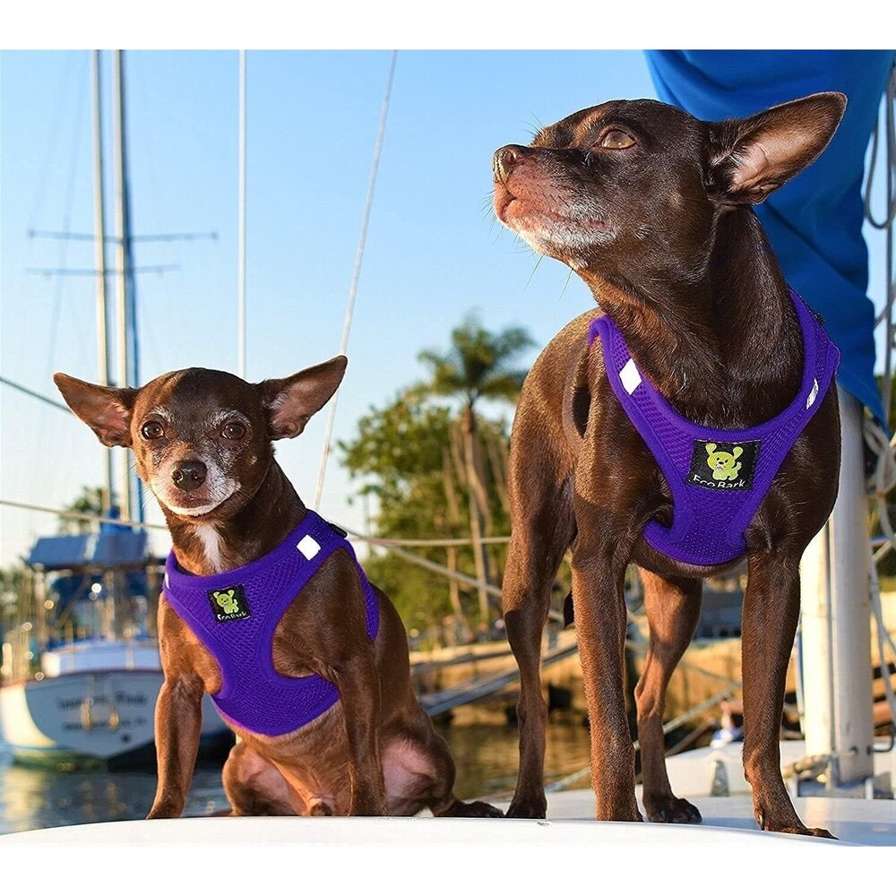 EcoBark Step in Dog Harness, Soft Mesh Body Halter Vest, Purple, Medium